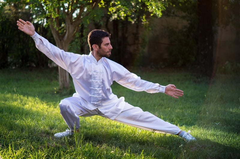 Tai Chi Push Hands